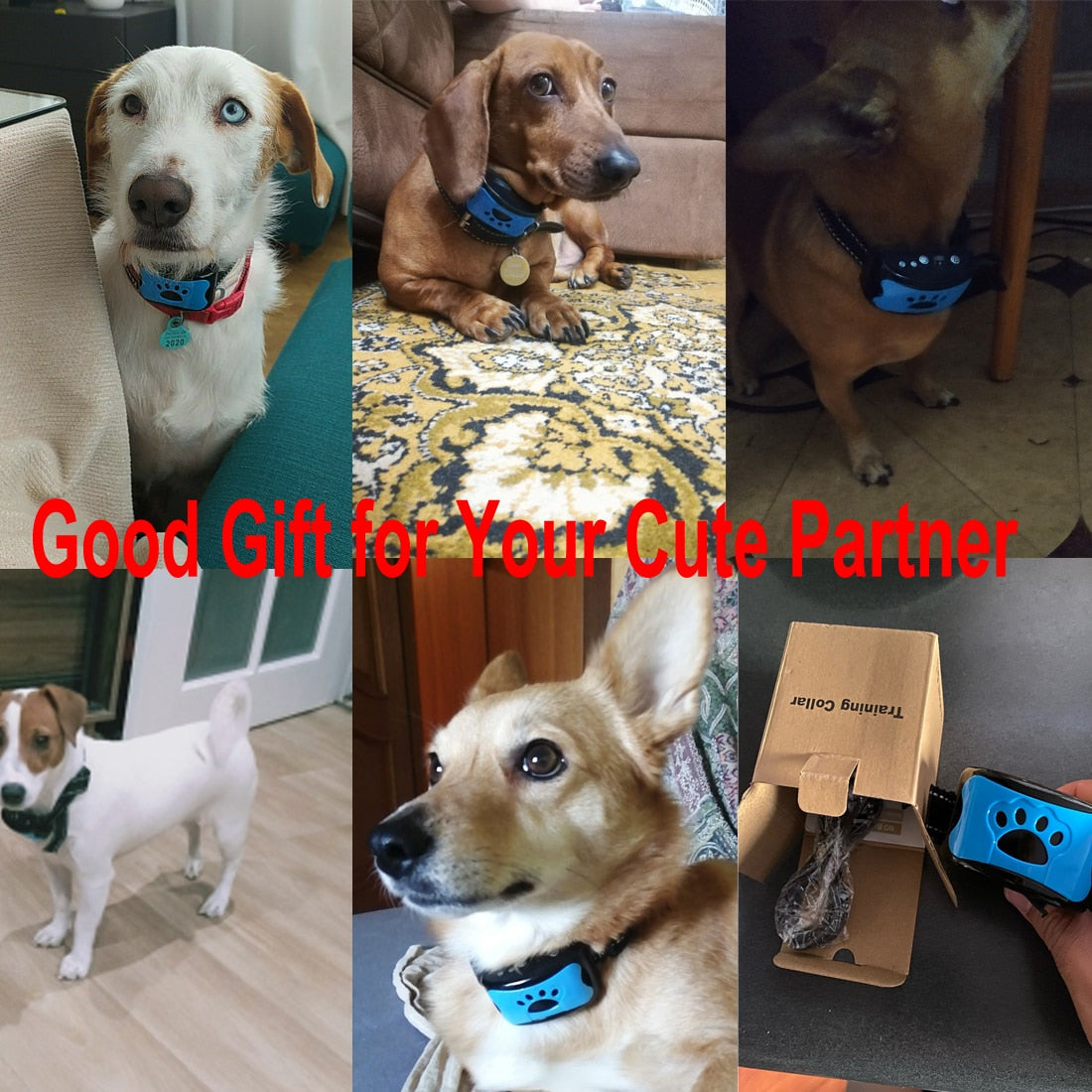 Ultrasonic Anti-Bark Dog Training Collar gods grace