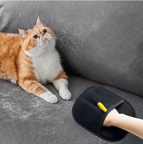 Fur Remover Glove gods grace