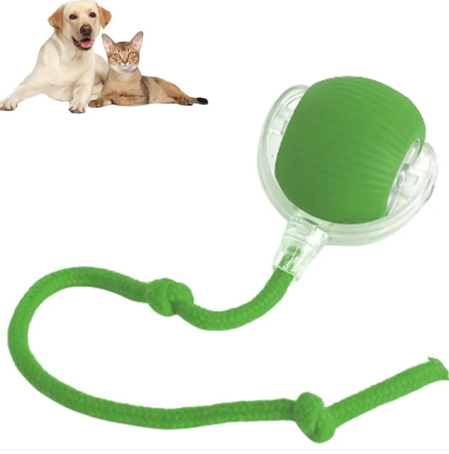 Smart Rolling Pet Ball gods grace