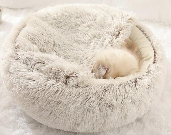 2-in1 Pet Bed gods grace