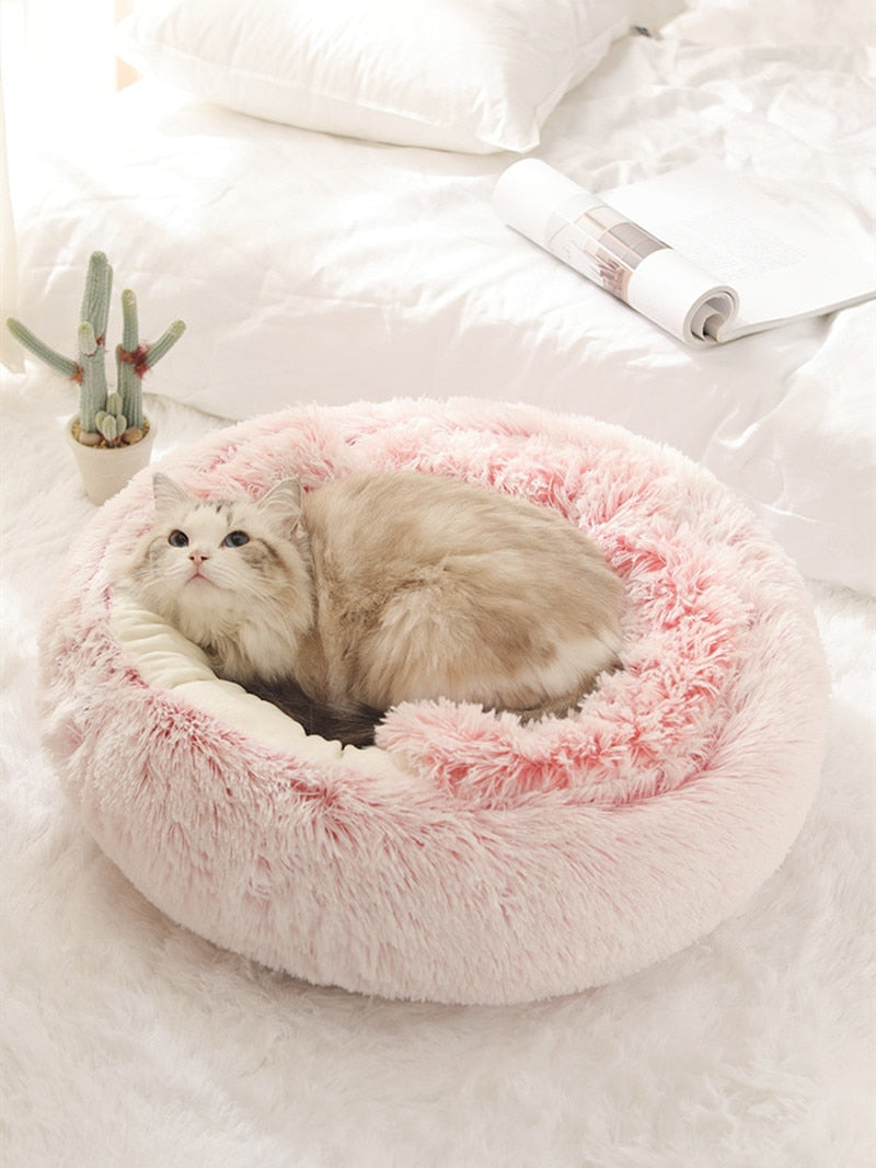 2-in1 Pet Bed gods grace