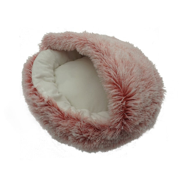 2-in1 Pet Bed gods grace