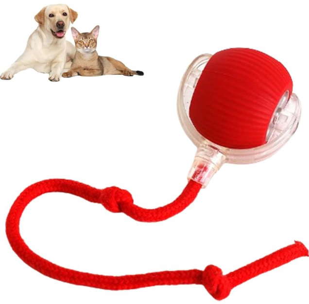 Smart Rolling Pet Ball gods grace