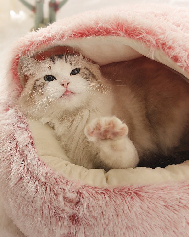 2-in1 Pet Bed gods grace