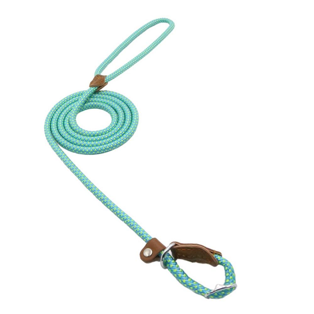 Nylon Pup Set gods grace