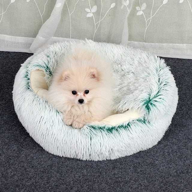 2-in1 Pet Bed gods grace