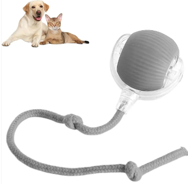 Smart Rolling Pet Ball gods grace