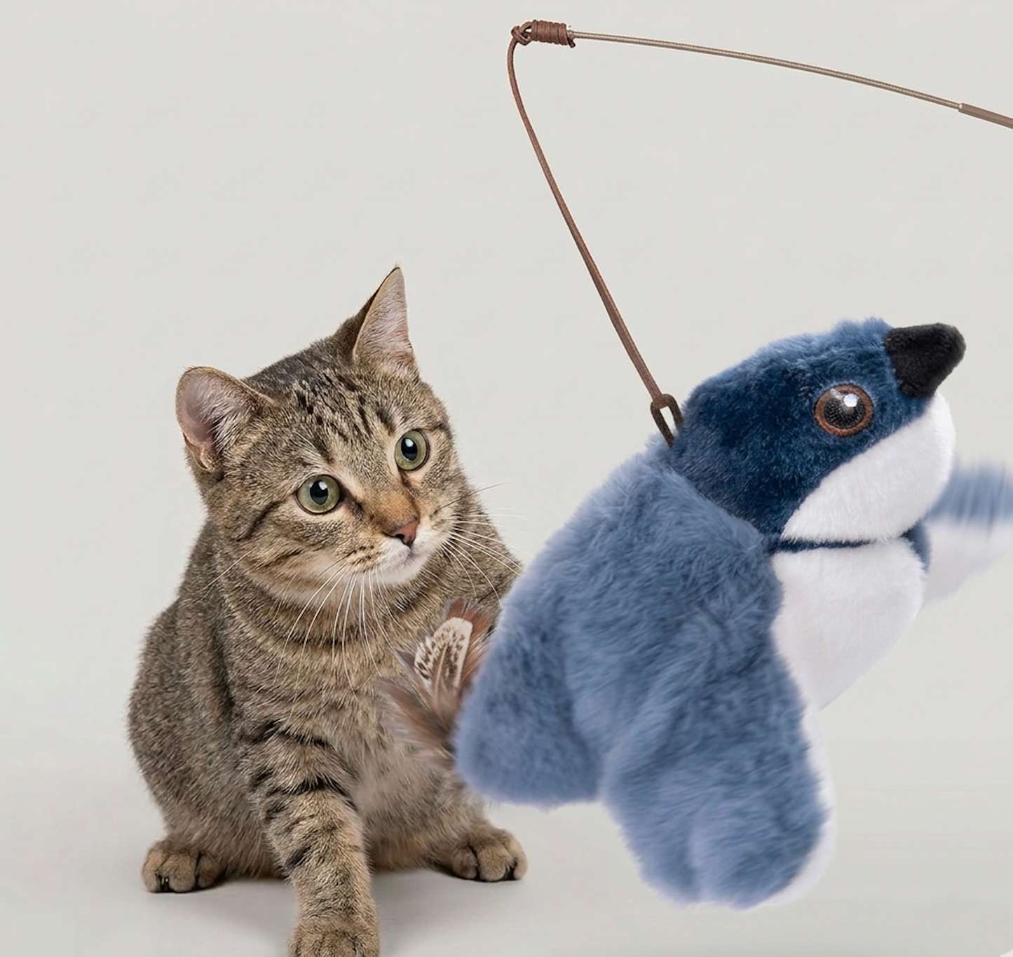 Flapping Bird Cat  Toy gods grace