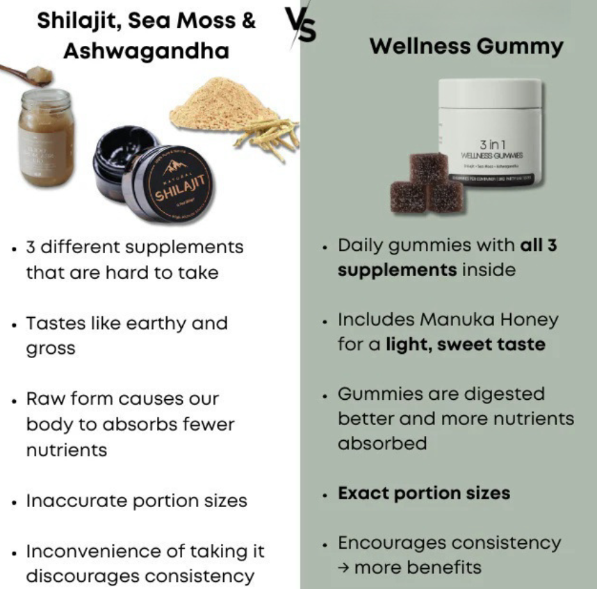 Shilajit 3-in-1 Gummies for Men gods grace