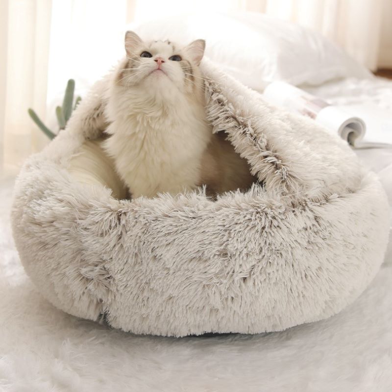 2-in1 Pet Bed gods grace